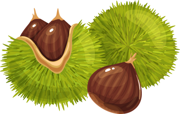 Exotic Food Illustration 